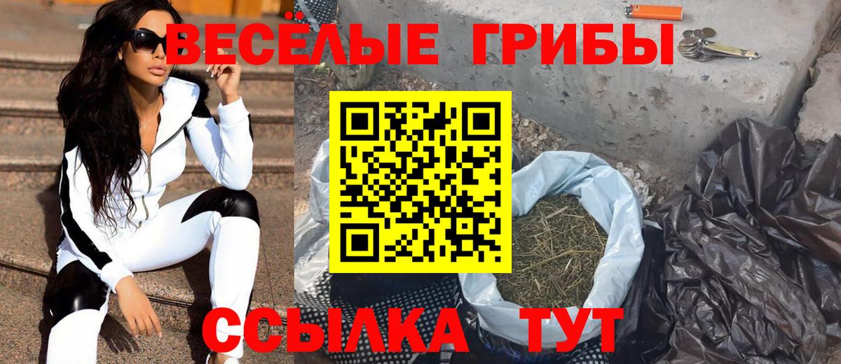 Галлюциногенные грибы GOLDEN TEACHER  Вход с VPN  Галлюциногенные грибы Magic Shrooms  Жуковский 